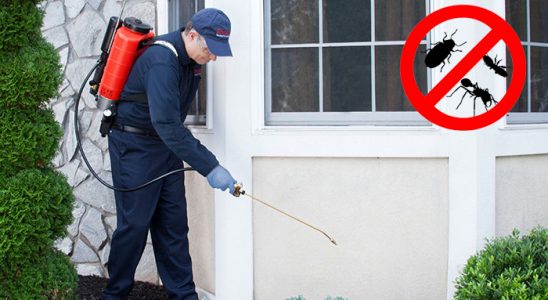 Çıldır Gümüşkurt İlaçlama böcek ilaçlama ve haşere kontrolü — ilaclama-tr.com